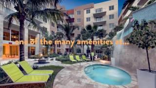 The Manor CityPlace Apartments in Doral, FL