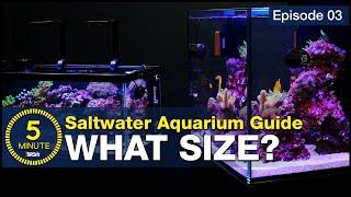 The secret to selecting the right size and shape for your first saltwater aquarium. Choose wisely!