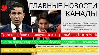 Новости: Стрельба в Торонто - 3 погибли; Поколение арендаторов; Медведь напал на туристов и еще