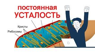 Упадок сил после 40-50-60. Как избавиться?  Доктор Владимир Соколинский (ND)