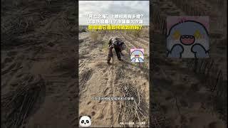 在沙漠修鐵路有多難？新疆和若鐵路是環塔克拉瑪干沙漠鐵路的一部分，你知道它是如何修建的嗎？#shorts #china #DynamicChina