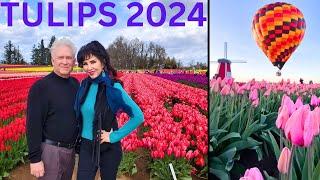 TULIPS! THE WOODEN SHOE TULIP FARM  2024