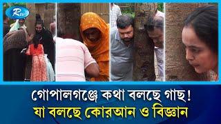 গোপালগঞ্জে ‘কথা বলছে গাছ’ এটি কিসের আলামত? | Talking tree | Gopalganj | Rtv News