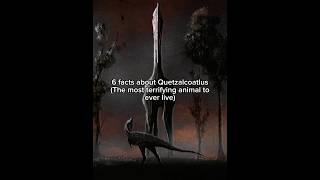 6 insane facts about the Quetzalcoatlus #prehistoric #dinosaur #quetzalcoatlus