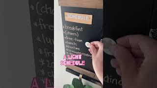 Revolutionize Your Home with 1Thrive | Family Organization Made Easy #homeorganization #organize