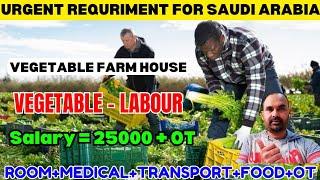 URGENT REQURIMENT FOR SAUDI  ARABIA ● VEGETABLE FARM HOUSE ● VEGETABLE LABOUR ● KITCHEN VEG JOBS