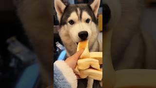 The Bread Sharing Story  #shorts