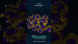Enjoy your weekly SciArt clip! | Science Animation
