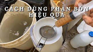 Cách Sử Dụng Phân Bón Vi Sinh Toan Trinh