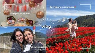 фестиваль тюльпанов, сюрприз от коллег, и день рождения Маши // vlog