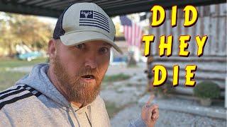 I WAS WARNED |tiny house, homesteading, off-grid, cabin build, DIY HOW TO sawmill tractor tiny cabin