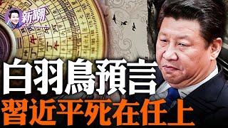 神秘预言：中共最后一任领导人将崩在任上！破解习近平面相吉凶！他是全世界最怕死的领导人！『新聞最嘲點 姜光宇』2023.0826