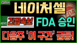 ️️ 네이처셀 - 긴급속보 FDA 승인! 다음주 '이 구간' 급등 나온다!!
