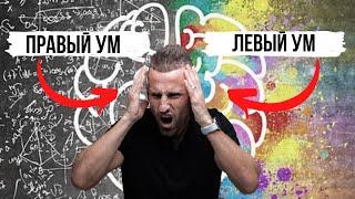 Дизайн Человека / ПРАВОСТЬ И ЛЕВОСТЬ УМА / Что означают стрелки в карте?