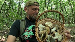 ГРИБИ трудові!..Але БІЛЯЧКИ потішили..Суботній ГРИБНИЙ похід червень 2025
