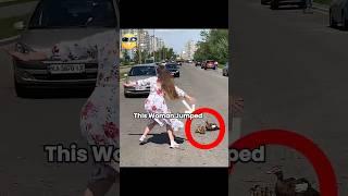Hero Woman Stops Traffic to Save Ducks! ️