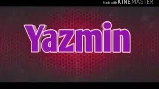 Yazzmin intro.