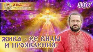 ЖИВА - ЕЕ ВИДЫ И ПРОЯВЛЕНИЯ  #87 шж  Волхв Огнь-Сварг-Владимир (Куровский)