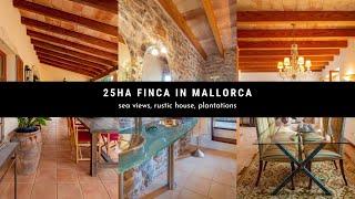 Property in Mallorca with sea view, rustic house and mature trees
