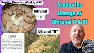 Tracing The Lineage of Ultramel A & B! - Reptile Genetics Weekly Ep 90