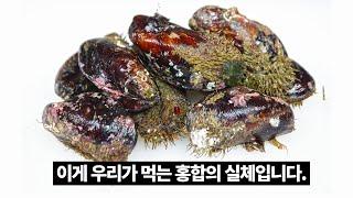 전국민의 99%가 홍합으로 알고 먹는 이것의 정체