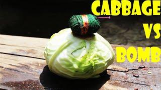 Fire Cracker Experiment Cabbage Vs Bomb