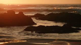 Pescadero Beach Vignette (Sony FX6 Test)