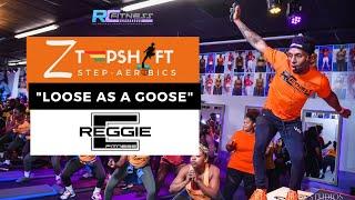 Step Aerobics Class | ZtepShift - Loose As A Goose | Reggie C Fitness | RC