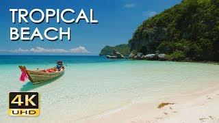 4K Tropical Beach - Relaxing Sea/ Ocean Wave Sounds & Ultra HD Nature Video - Meditate/ Yoga/ Sleep