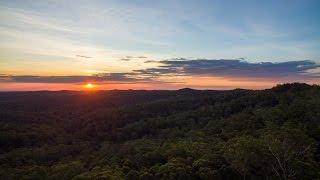 Flight Over Pokolbin State Forest | 4k Adventure