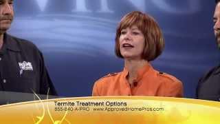 Termite Treatment Options San Diego-Ecola Termite and Pest Control