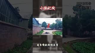 老人踉踉跄跄倒在地上，吓的司机不敢动#监控下的一幕 #危险动作请勿模仿