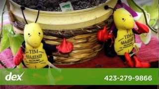 All-State Pest & Termite Control Dex One Profile