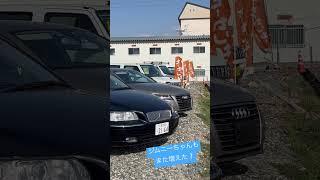 株式会社テクトの、3月下旬在庫ちゃんたち　来月には舗装工事されるからまた居なくなるよ