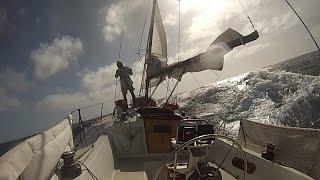 "Alone Together": Singlehanded Sailing, LA to Hawaii and Return.