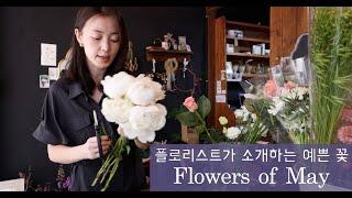 요즘 예쁜 꽃 뭐가 있을까요? 플로리스트가 추천하는 5월의 꽃 ... #summerflowers recommended by a florist