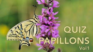 QUIZ 5 espèces de Papillons Volume 1 -  Lumix GH4/GH5/GH6 - 4K