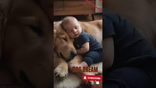 Dogs Dream Like Us