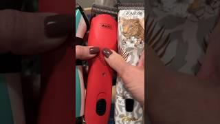 ⁉️What is the best clipper to give your dog a haircut⁉️