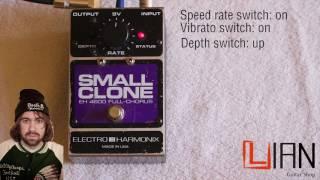 Small Clone with Speed rate and Vibrato mod - Electro Harmonix Demo/review