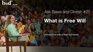 What is Free Will : Ask Bawa and Dinesh 20