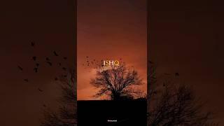 Ishq - (Lost~Found) || Faheem Abdullah || Rauhan Malik || Lyrical Song || Aesthetic Video || #shorts