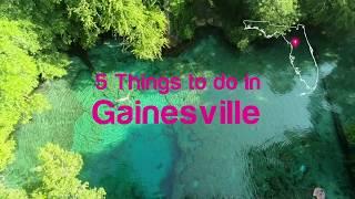 Florida Travel: 5 Things to Do in Gainesville