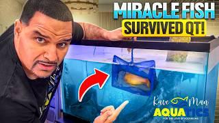 Watch These Fish Come Back From The Brink of Death
