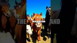 The Sneaky Shetland Pony Prank: Mane Mischief