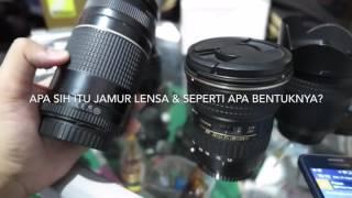 MEMAHAMI APA ITU JAMUR LENSA & BENTUK JAMUR PADA LENSA KAMERA DSLR