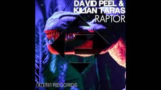 David Peel & Kilian Taras - Raptor (Ensis Records)