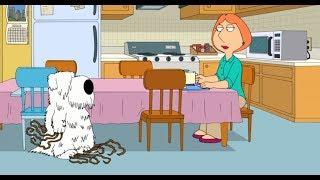 FAMILY GUY: Brian haircut | S10E01