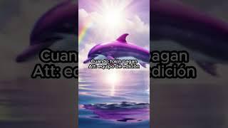 págame sandía #symphony #dolphin #unicorn #gaming #lol #humor #arcane #anime #edit #meme #gamer