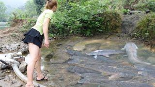Top 1 Fishing Video, Survival Fishing In The Forest, Catching A Lot Of Fish, Living Off Grid